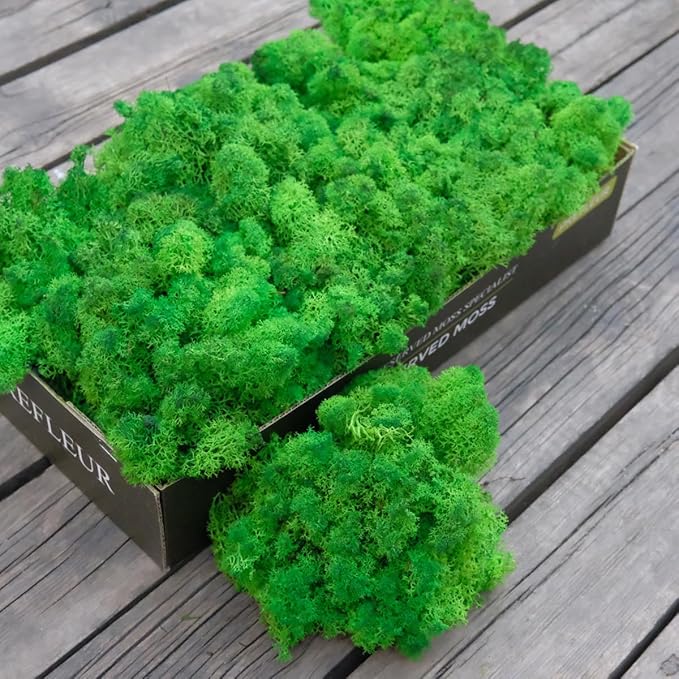 prefleur Preserved Reindeer Moss Natural Green DIY Kit Gardenning Art Wall Decor Florist Decor Easter Table Decor Wedding