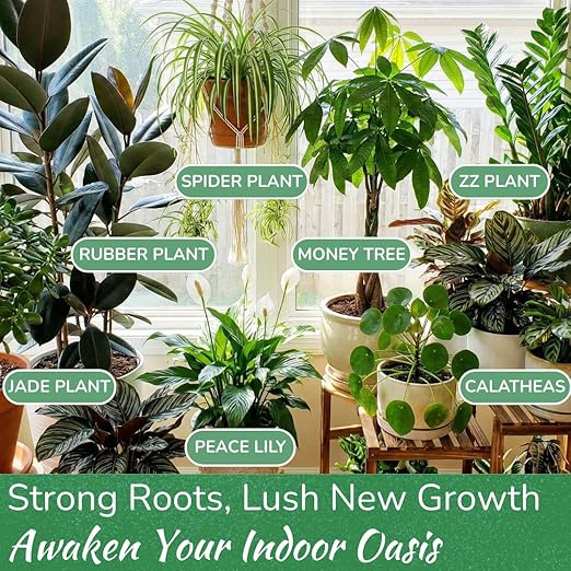 Indoor Plant Food by Houseplant Resource Center - Organic Liquid Fertilizer for Pothos, Peace Lily, Monstera, Cactus and More - 8 oz