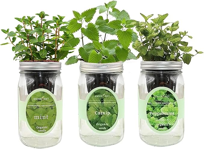 Environet Hydroponic Herb Growing Kit Set, Self-Watering Mason Jar Herb Garden Starter Kit Indoor, New Christmas Gift for Mom (Mint, Peppermint & Catnip)
