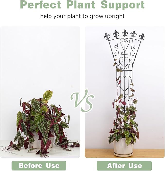 3pcs Indoor Climbing Plant Trellis 46x15.5in Heavy Duty Durable Iron Decorative Support for Monstera, Pothos, and Houseplants Ideal for Vertical Growth in Garden, Balcony, and Indoor Spaces