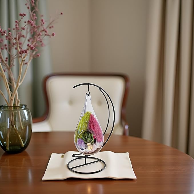 Creations by Nathalie 7" DIY Teardrop Terrarium Kit with Live Plants - Hanging Glass Planter with Stand for Adults & Kids - Build a Mini Ecosystem with Moss, Crystals, Tools - Made in The USA