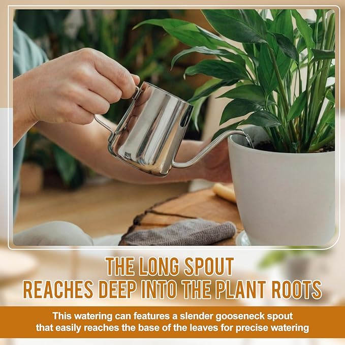 2 Pcs 12 oz / 350 ml Watering Can for Indoor Plants, 304 Stainless Steel Small Gooseneck Spout Kettle, Mini Indoor Watering Can with Scale and Long Spout