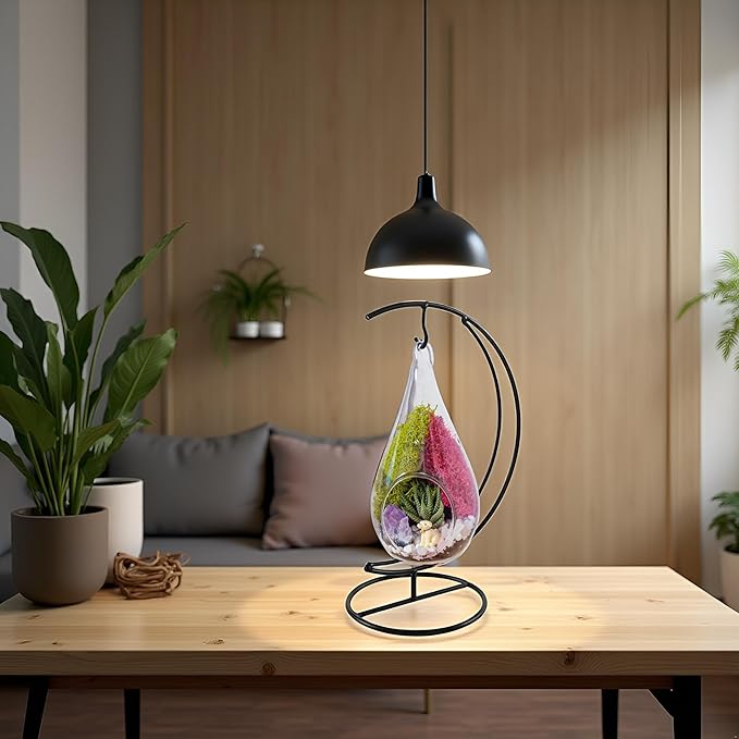Creations by Nathalie 7" DIY Teardrop Terrarium Kit with Live Plants - Hanging Glass Planter with Stand for Adults & Kids - Build a Mini Ecosystem with Moss, Crystals, Tools - Made in The USA