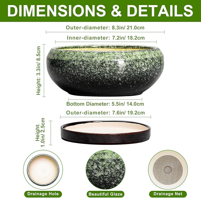 EPFamily Bonsai Pots 8 Inch - Ceramic Succulent Pots with Drainage Hole and Saucer, Shallow Plant Pot for Indoor Outdoor, Bonsai Tree Pots, Round Planter Bowl, Home Decor, Gift for Plant Lover, Green