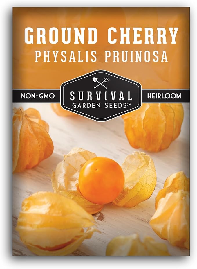 Ground Cherry Seeds for Planting – High Yield Heirloom Cape Gooseberry with Sweet Golden Fruit in Papery Husks, Non-GMO Golden Berry Garden Favorite - Survival Garden Seeds (1 Pack)