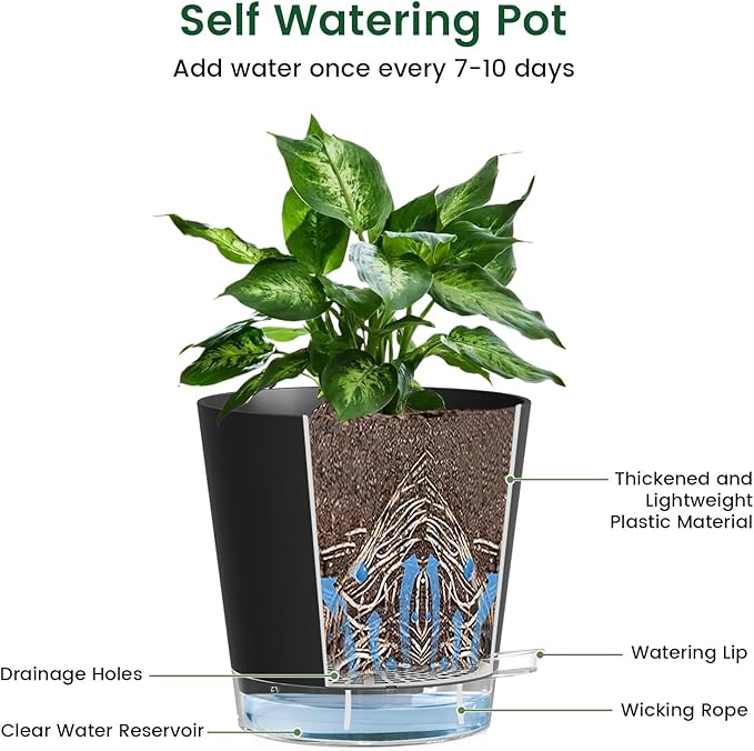 Meowell 6 inch Self Watering Pots for Indoor Outdoor Plants, 6 Pack Flower Plant Pots with Drainage Holes and Clear Reservoirs, Visible Water Level, Plastic Planters with Wicking Rope, Black