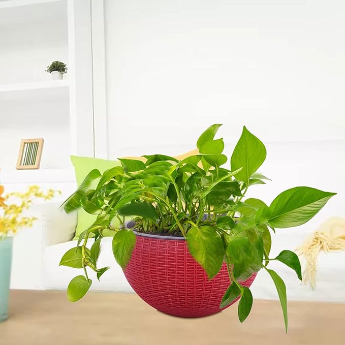 Vencer 11 Inch Round Resin Rattan Hanging Planters,Self Watering Hanging Basket for Indoor Outdoor Plants,Hanging Flower Pots with Drain Hole and Metal Chain,Water Indicator,Red,VF-A15-R