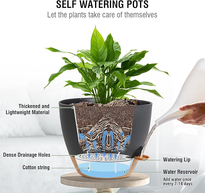 Meowell 10 inch Self Watering Hanging Planters, 2 Pack Hanging Flower Pots for Indoor Outdoor Plants, Hanging Baskets with Drainage Holes & 2 Kinds of Plant Hangers for Garden Home Decor, Black Brown