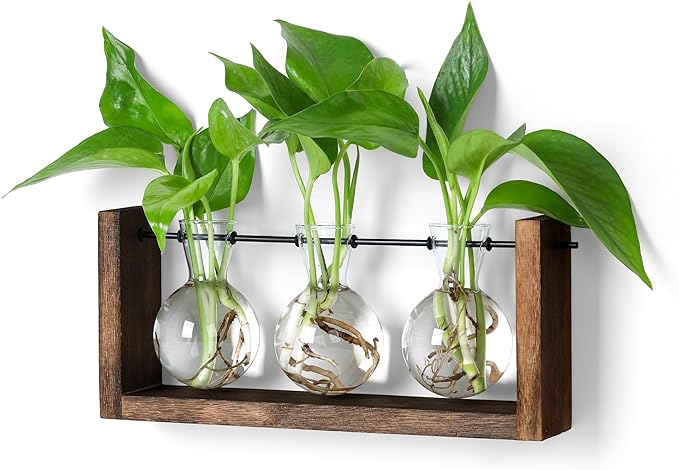 YIBOT Wall Hanging Planter Propagation Station Glass Flower Vase for Hydroponics Plants, Plant Terrarium with Wooden Stand, Bathroom, Home Office Living Room Decor Gift