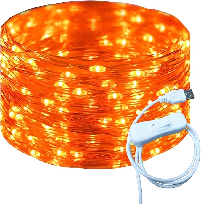RUICHEN Silver Wire 33 Ft 100 LED USB Fairy String Lights with On/Off Switch (Orange)