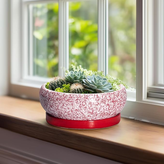 EPFamily Succulent Pots - 8 Inch Bonsai Pots for Indoor Outdoor, Shallow Ceramic Planter with Drainage Hole and Saucer, Round Flower Succulent Planters, Room Decor, Gifts for Plant Lovers, Red