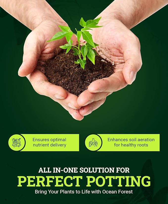 FoxFarm Ocean Forest Potting Soil, 12qt – Light, Aerated Texture, Designed for All Container Plants – pH Adjusted for Optimal Nutrient Uptake, Effectively Retains Moisture (12 Quart (3 Pack))