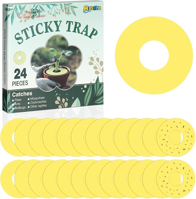 Mysora 24 Pcs Fruit Fly Traps Fungus Gnat Sticky Traps Yellow Round Ring for Pot Plants Indoor Outdoor Mosquito Flying Insects (S)