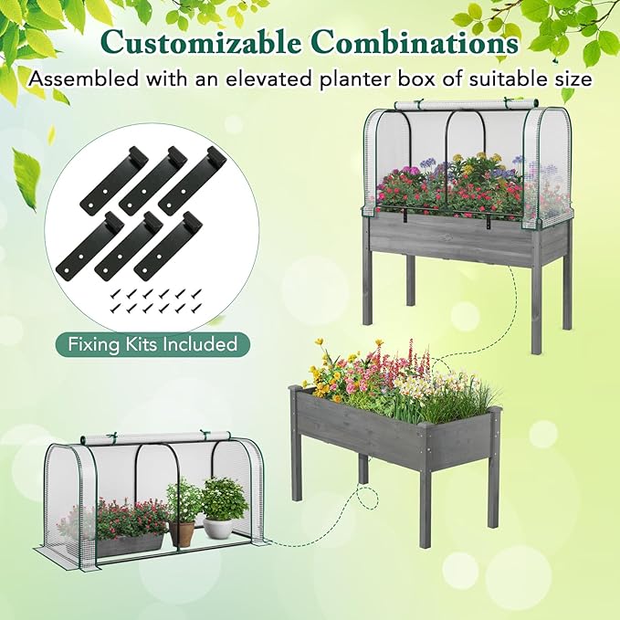 Toolsempire Raised Garden Bed with Greenhouse, Waterproof Sun-Protective Green House with Roll-Up Door & Electroplated Metal Frame, Fir Wood Elevated Planter Box with Drainage Holes(White+Gray)