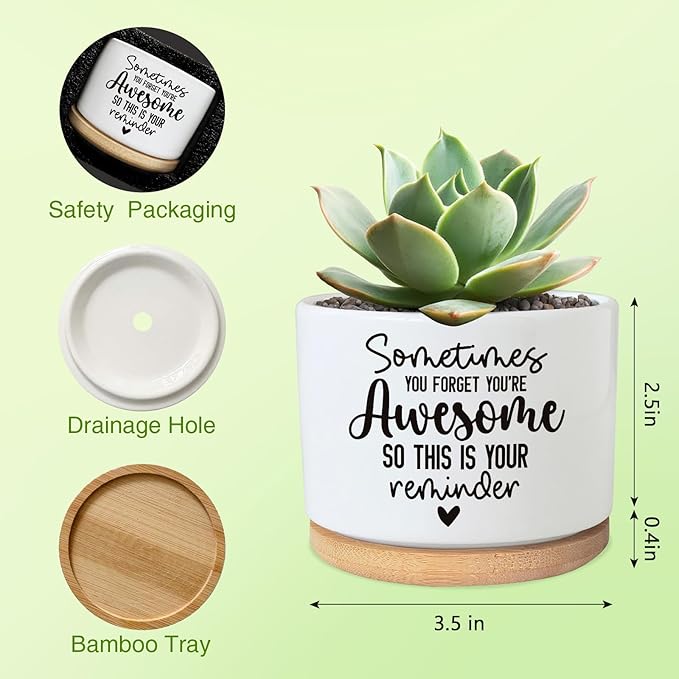 You're Awesome Funny Succulent Plant Pot, Cute 3.5 Inch Small Ceramic Cactus Planter Pot with Drainage, Home Office Desk Decor for Friends Coworker Birthday Christmas Housewarming Gifts (No Plants)