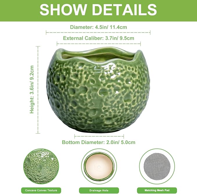 Thirtypot Ceramic Plant Pots - 4 inch Plant Pot with Drainage Hole, Small Pots for Plants Indoor Outdoor, Unique Round Planter, Modern Decorative Flower Pot, Room Decor, House Warming Gifts, Green