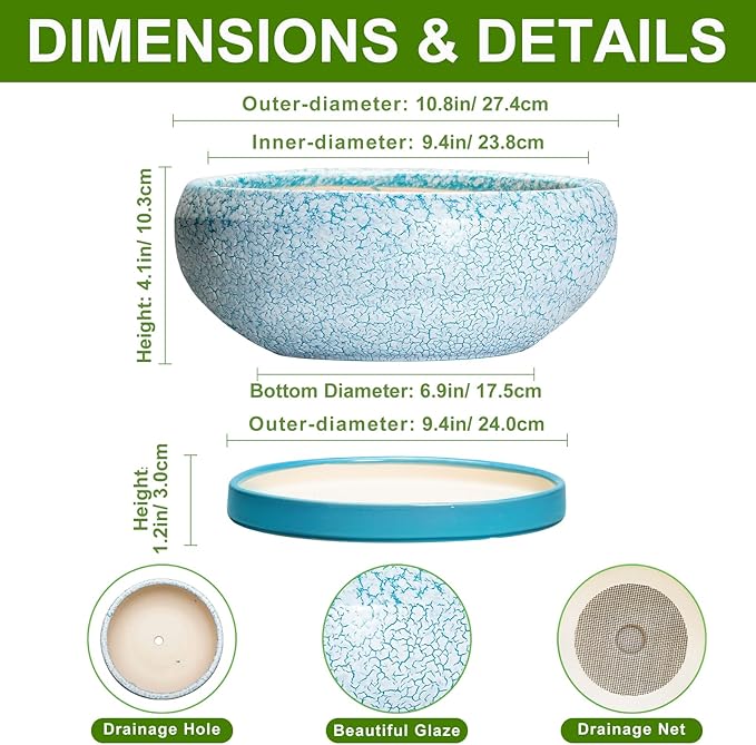 EPFamily Bonsai Pots 10 Inch - Shallow Ceramic Planters for Indoor Outdoor, Succulent Pots with Drainage Hole and Saucer, Round Planter Bowl, Succulent Planter, Garden Decor, Housewarming Gifts, Blue