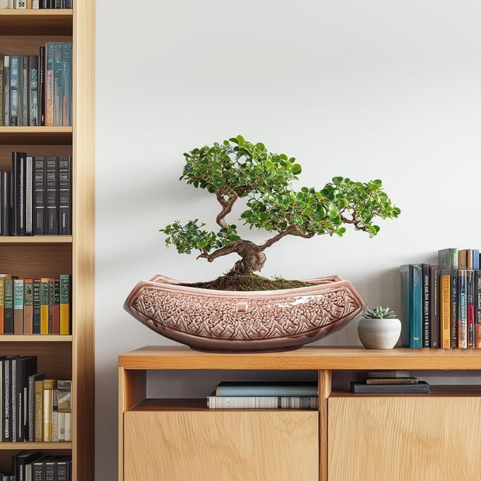 Teagas Large Bonsai Pots - 18 Inch Ceramic Succulent Pots with Drainage Hole, Bonsai Planter for Indoor Outdoor Plants, Ceramic Flower Pot, Decorative Plant Pot, Home Decor, Birthday Gifts, Red-Brown