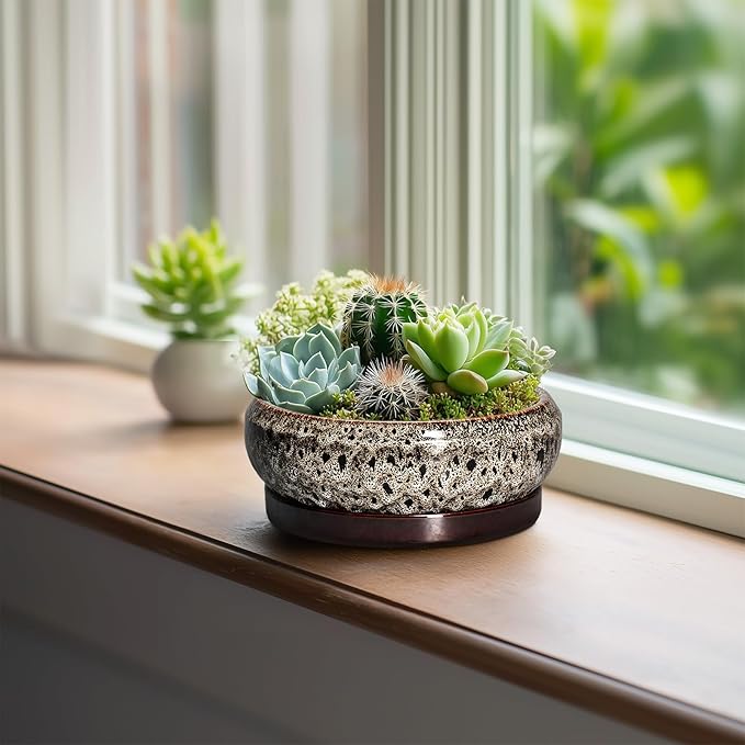 EPFamily Succulent Planter 6 Inch - Ceramic Bonsai Pots with Drainage Hole and Tray, Shallow Plant Pot Indoor Outdoor, Cactus Succulent Pot, Round Bonsai Planter, Home Decor, Plant Lover Gift, White