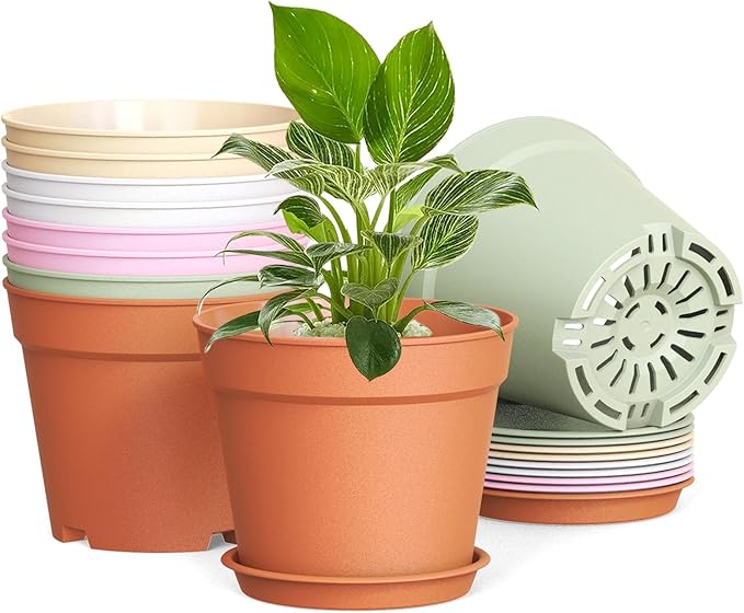 SwinDuck 10 Pack 6 Inch Plant Pots with Drainage and Saucers, Plastic Flower Pots for Indoor and Outdoor Plants, Stackable Nursery Planters for Houseplants and Herbs, Colorful
