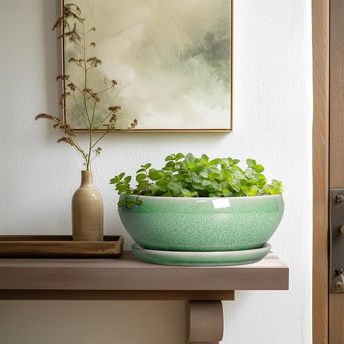 SQOWL Bonsai Pots - 10 Inch Ceramic Succulent Pots with Drainage Hole and Saucer, Shallow Planter for Indoor Plants Flowers, Round Planter Bowl, Living Room Decor, Plant Lover Gifts, Green
