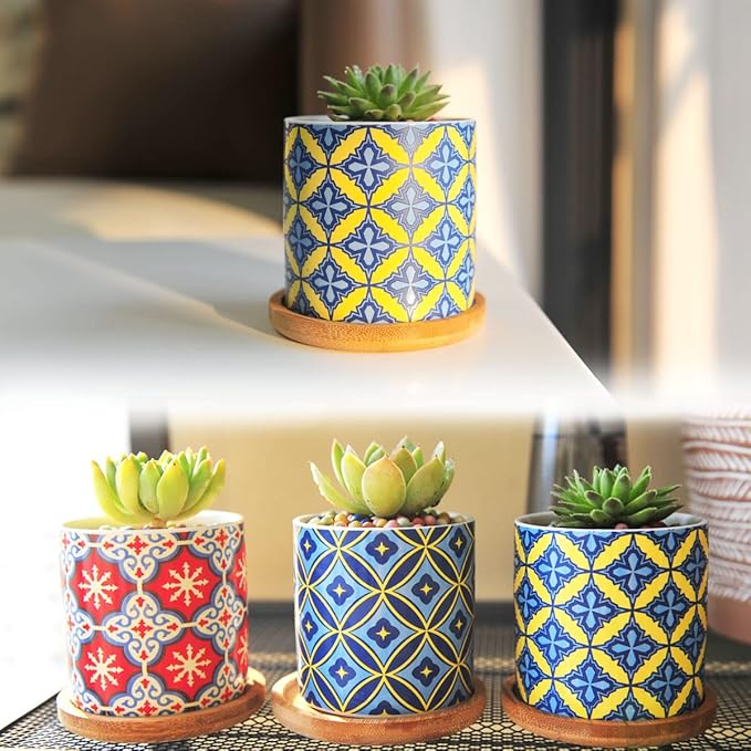 Ascrafter 6 Pack Succulent Pots with Drainage Hole, 3 inch Ceramic Succulent Planter with Bamboo Tray, Bright Color Succulent Plant Pots for Cacti Succulent Soil Potting Mix Indoor/Outdoor