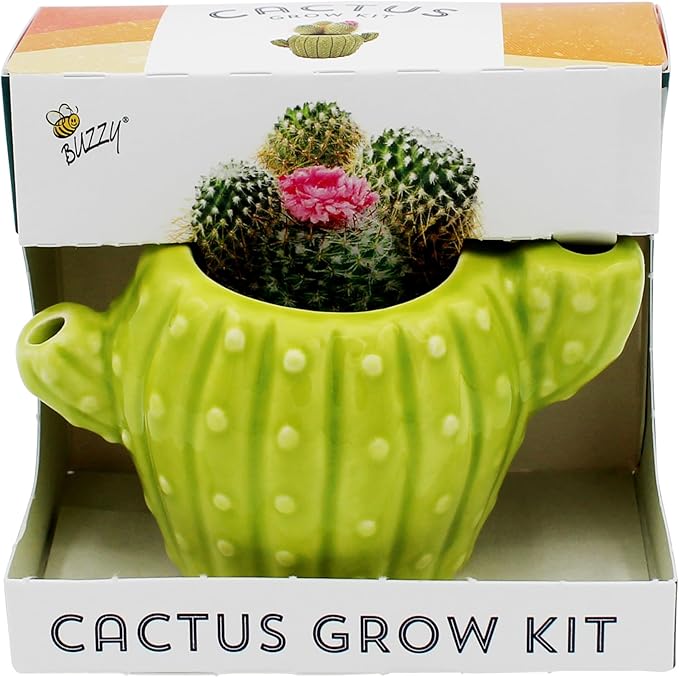 BUZZY Seeds 4pk Mini Cactus Grow Kit with Ceramic Planter, Succulent Seeds, Growing Medium, Easy Instructions, Indoor Gardening Gift for Beginners, Birthdays, Housewarming and Home or Office Decor