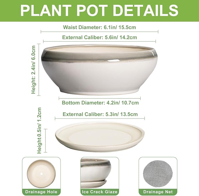 SQOWL Succulent Planters - 6 Inch Ceramic Bonsai Pots, Shallow Planter with Drainage Hole and Saucer, Round Planter for Indoor Outdoor, Cactus Succulent Pots, Desk Decor, Garden Gifts, Gray-Beige