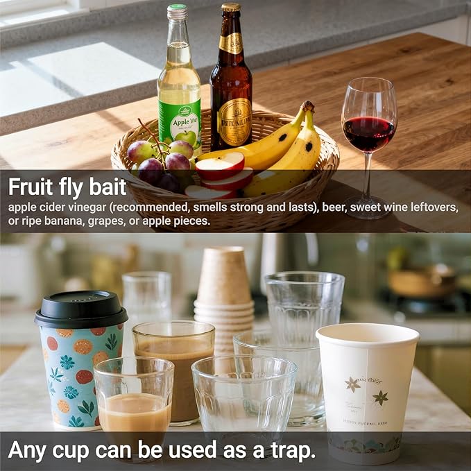 Fruit Fly Trap Covers, Double-Sided Sticky Adhesive Cards for Gnats, Fruit Flies, Moths, Kitchen Insect Control (49Pcs)