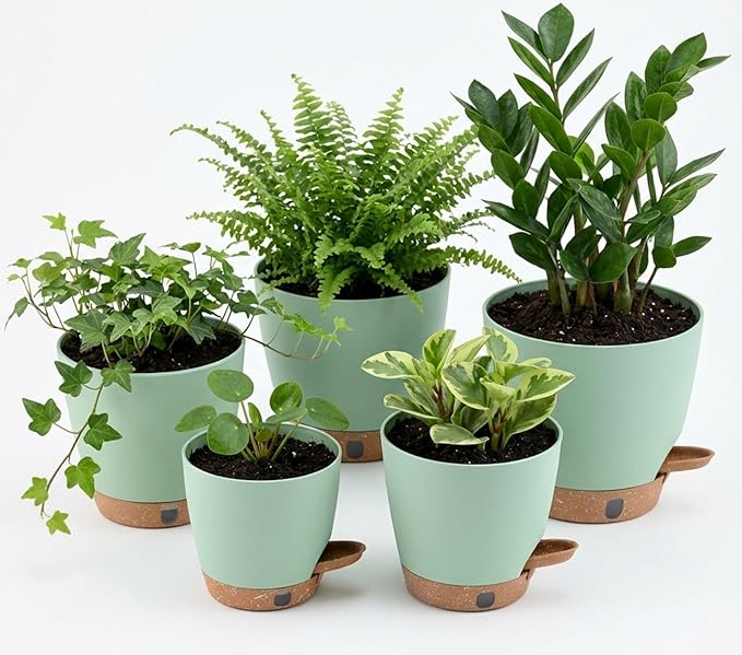 montresor 5 Pack Green 5/5.5/6/6.5/7 Inch Self Watering Planters for Outdoor, Plastic Plant Pots with Wick & Drainage, Small to Medium Indoor Pots for Snake Plant, Aloe