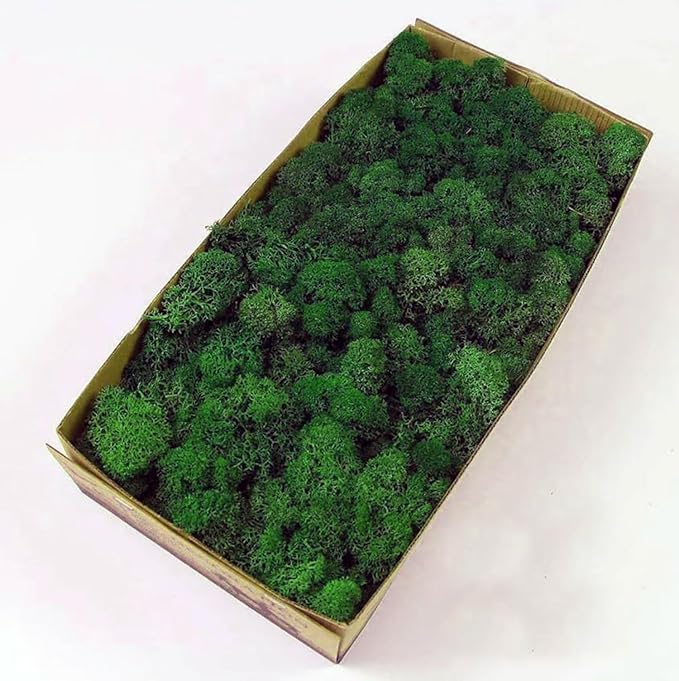 prefleur Preserved Reindeer Moss Natural Green DIY Kit Gardenning Art Wall Decor Florist Decor Easter Table Decor Wedding