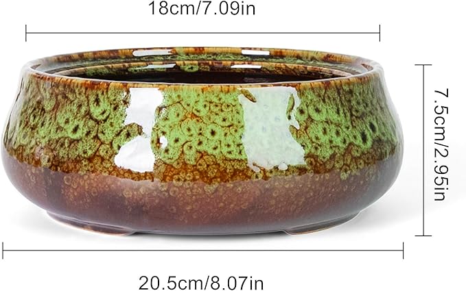 ARTKETTY Succulent Pots - 8 Inch Plant Pot, Large Bonsai Pots with Drainage, Ceramic Planters for Indoor Outdoor Plants, Round Shallow Cactus Flower Plant Container Bowl Decorative Home Garden