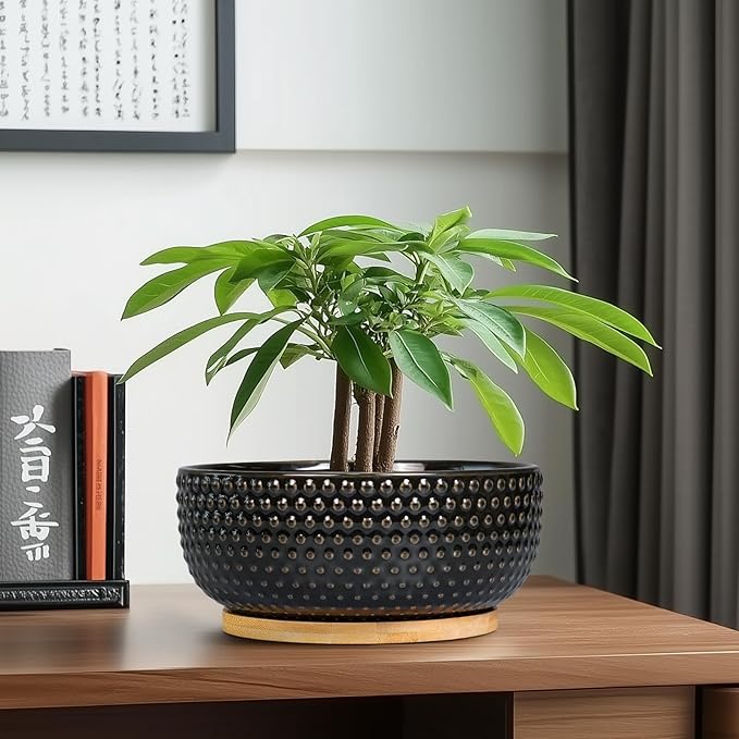 EPFamily Bonsai Tree Pot - 8 Inch Ceramic Succulent Planters with Drainage and Plant Tray, Boho Round Shallow Bowl for Indoor Plants, Office Decor, Housewarming Gift, Black