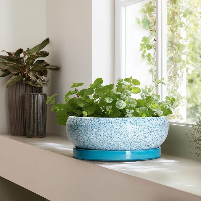 EPFamily Bonsai Pots - 13 Inch Ceramic Succulent Pots with Drainage Hole and Tray, Large Succulent Planter Indoor Outdoor, Round Planter, Shallow Plant Pot, House Decor, Gifts for Plant Lover, Blue
