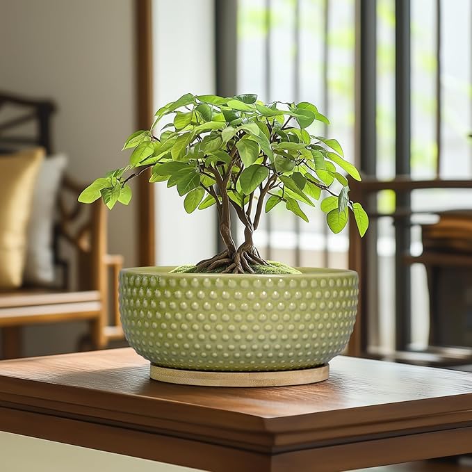 EPFamily Bonsai Planter - 8 Inch Ceramic Succulent Pots with Drainage Hole and Saucer for Indoor Plants, Boho Shallow Round Planter Bowl, Desk Decor, Garden Lover Gifts, Green