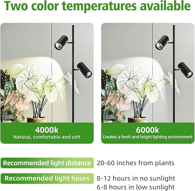 60W Dimmable Grow Light, Full Spectrum COB LED Dual-Head Floor Lamp with High PPFD&CRI, 6/8/12H Timer, Adjustable Height (37"-77") & Angle – Standing Grow Lights for Indoor Plants (6000K Daylight)