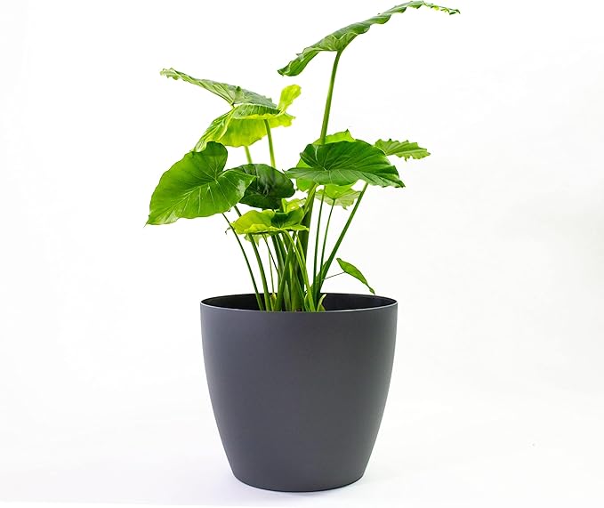 Greenline Manufacturing Memphis 13" Round Indoor Floor Planter Pot – Lightweight & Durable Plastic, Modern Design, Made in USA, Recyclable Large Plant Container for Home & Office Décor (Charcoal Meta