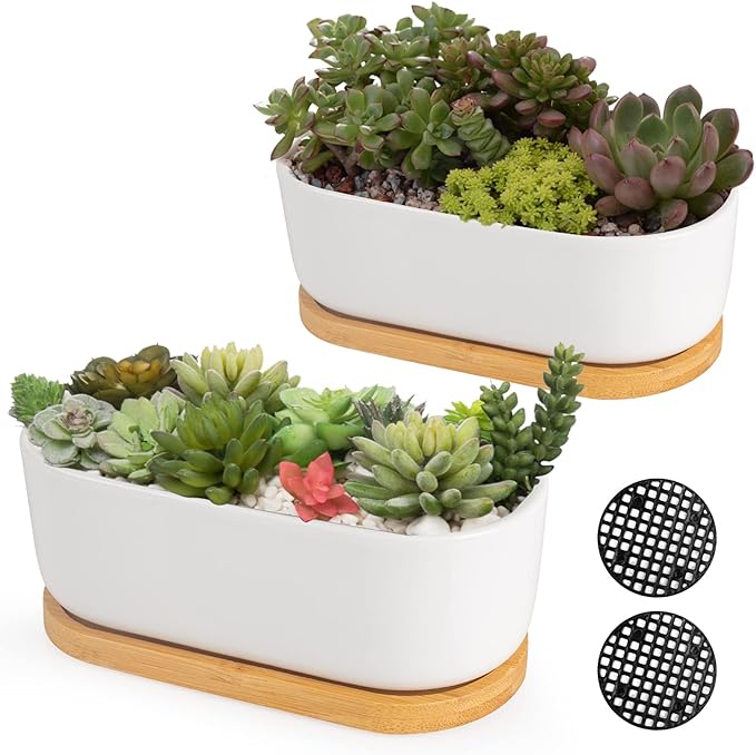 ARVINKEY White Ceramic Succulent Plant Pots, Indoor and Outdoor Succulent Planters, Set of 2 Small Cactus Containers, Bonsai Pots, Flower Pots with Drainage Hole and Bamboo Bowl (No Plant)