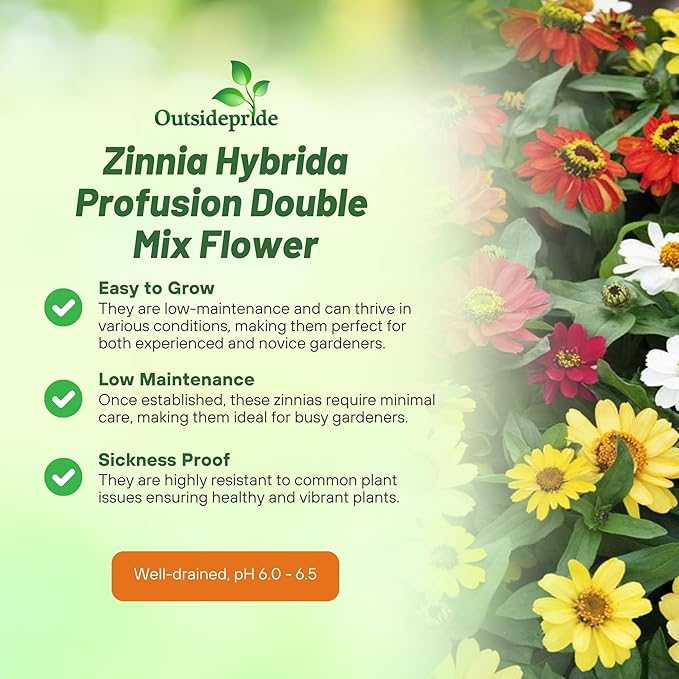 Outsidepride Profusion Double Mix Zinnia Seeds - 50 Pcs Annual, Hardy & Drought Tolerant, Easy to Grow, Flower Seeds for Planting with Daisylike Double Blooms, Ideal for Pollinator Gardens