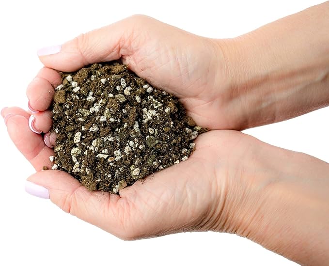 Premium African Violets and Gesneriad Premium Soil Mix by Gardenera - Horticultural Perlite (25%) + Vermiculite (25%) + Sphagnum Peat Moss (50%) - Made in USA - (5 Quart Bag)