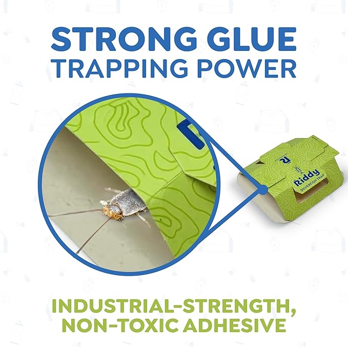 Riddy Insect & Silverfish Traps for Home, Small Trap Catchers for Tight Spaces, Non‑Toxic Glue Sticky Adhesive, Easy Setup for Indoor Infestation Areas, 5 Packs, Each with 2 Traps (10 Total)