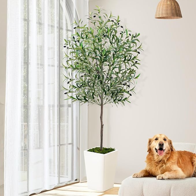 Olive Trees Artificial Indoor 6ft, 2 PCS Tall Faux Silk Plant with Pot, Realistic Leaves and Natural Wood Trunk Fake Trees with Lifelike Fruits for Home Office Decor Bedroom Livingroom Entryway