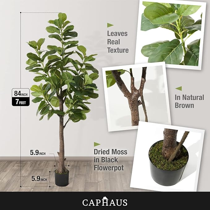 CAPHAUS Artificial Fiddle Leaf Fig Tree, 6/7 Feet in Pot with Dried Moss, for Indoor House Home Office Store, Potted Ficus Lyrata Faux Tree, Fake Plant Modern Decoration Gift for Housewarming