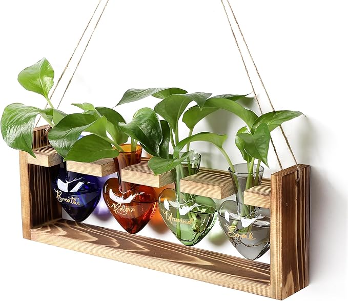 CYZglass Plants Propagation Stations Plant Terrarium Kit for Bathroom Glass Planters for Indoor Plants Bathroom Decor Accessories - Relax Soak Unwind Breathe