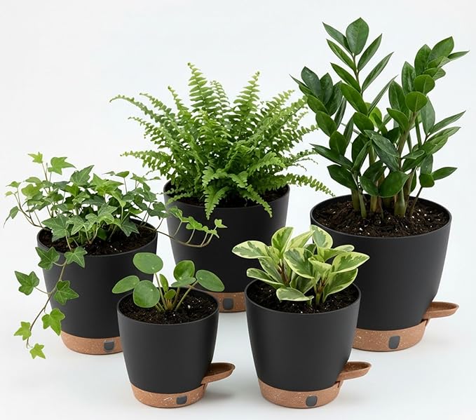 montresor 5-Pack Self-Watering Plastic Plant Pots 5/5.5/6/6.5/7 Inch– Black Indoor Flower Pots with Wick & Water Tray for Herbs, Succulents, Seedlings, Small Plants