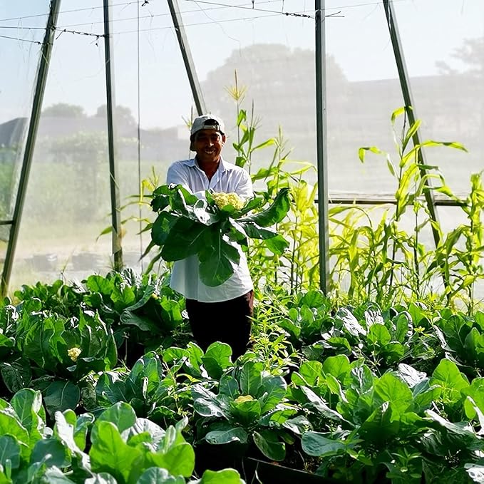 Garden Netting Pest Barrier: 4'x20' Fine Bug Netting for Garden Protection Row Cover Raised Bed Screen Mesh Greenhouse Mosquito Net, Protecting Tree Plants Vegetable Flowers Fruits