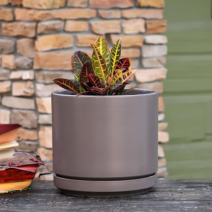 PLANTATOREM Ceramic 12 Inch Mid Modern Planter Pot with Drainage Hole and Saucer, Indoor Cylinder Round Flower Pot, Perfect for Planting Succulents, Herbs, Flowers, House Plants, Pastel Taupe