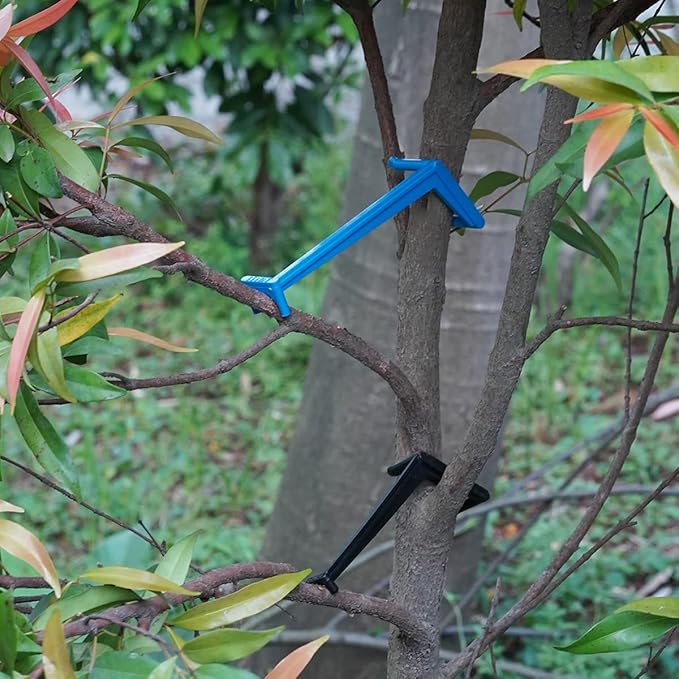 Branch Limb Spreaders for Fruit Trees Apple Tree Limb Spreader to Support New Branches Plastic Black 15 Pieces and Blue 15 Pieces