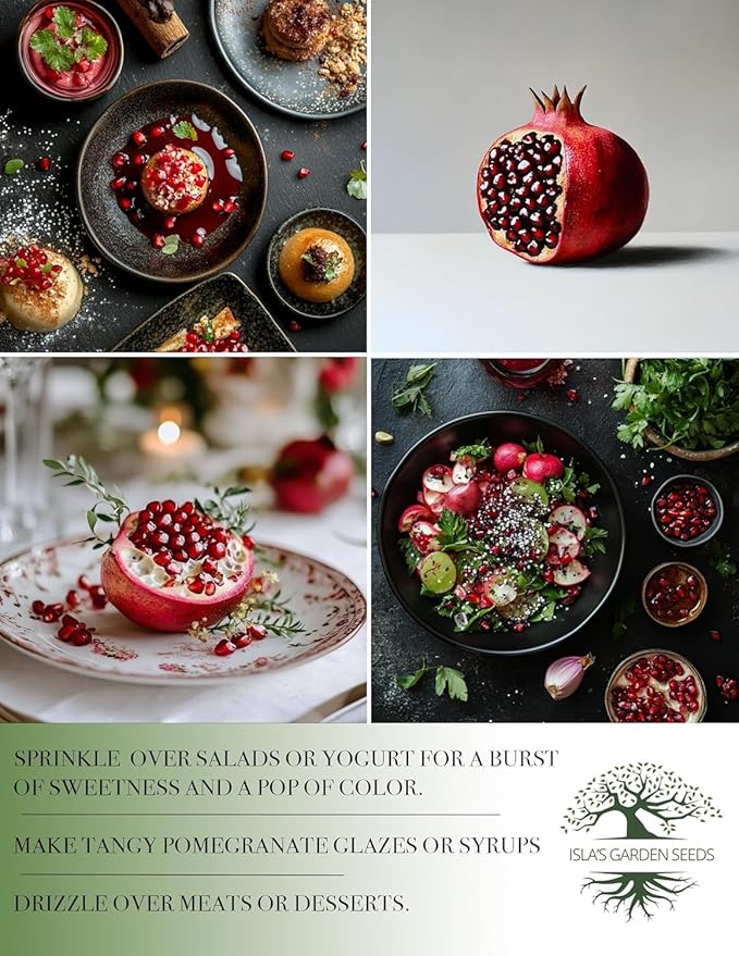 Pomegranate Tree Seeds (Punica granatum) – 30+ Non-GMO Fruit Tree Seeds for Planting, Beautiful Ornamental Tree with Sweet Edible Fruit, by Isla’s Garden Seeds, Gift Idea