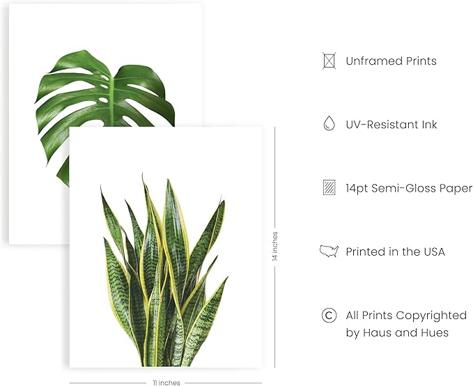 HAUS AND HUES Plant Photo Set of 4-11x14